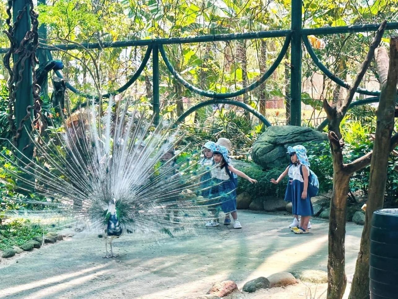 Cuong Thinh Homestay Hội An Buitenkant foto